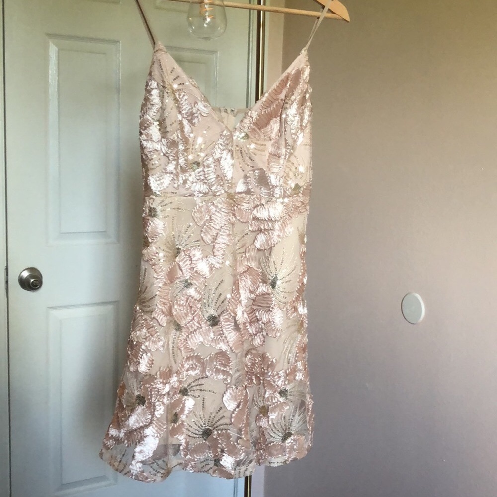 Nude pink sequin Dress